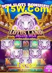 Casino VIP Tgjogo